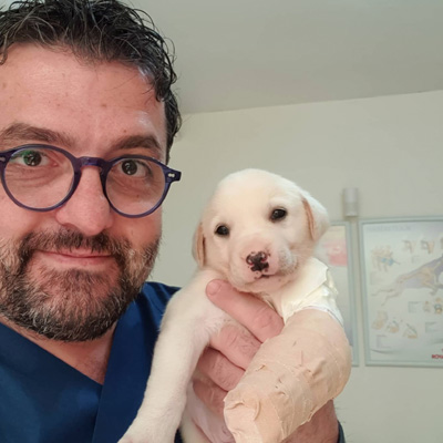 Veteriner Tolga Leman